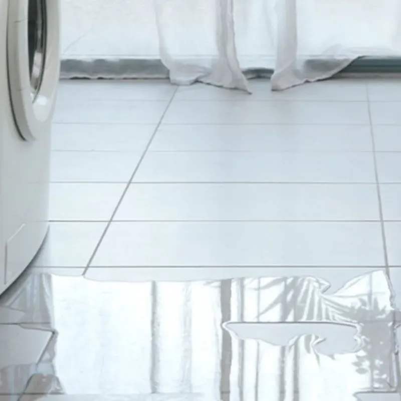 Appliance Leak Cleanup in Remerton, GA