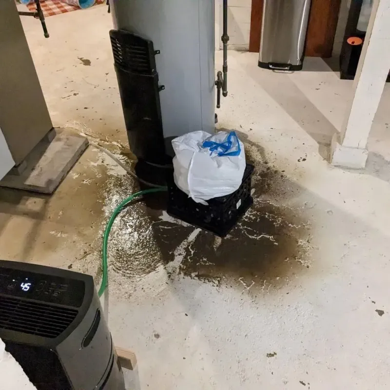 Sewage Backup Cleanup Service in Remerton, GA
